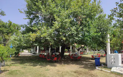 Camping Tholó Beach