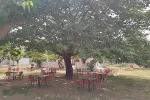 Tischgruppe mit roten Stühlen unter einem großen Baum auf einem Campingplatz, im Hintergrund weitere Tische und Wege.