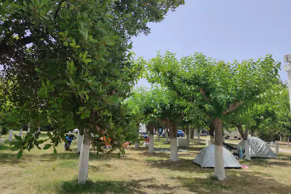Camping Tholó Beach