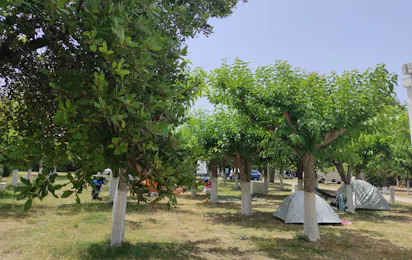 Camping Tholó Beach