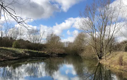Camping Thorpe Hall