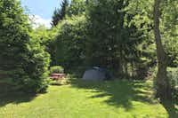 Camping Thüringer Wald  - Zelt mit Picknicktisch auf dem Stellplatz vom Campingplatz auf grüner Wiese