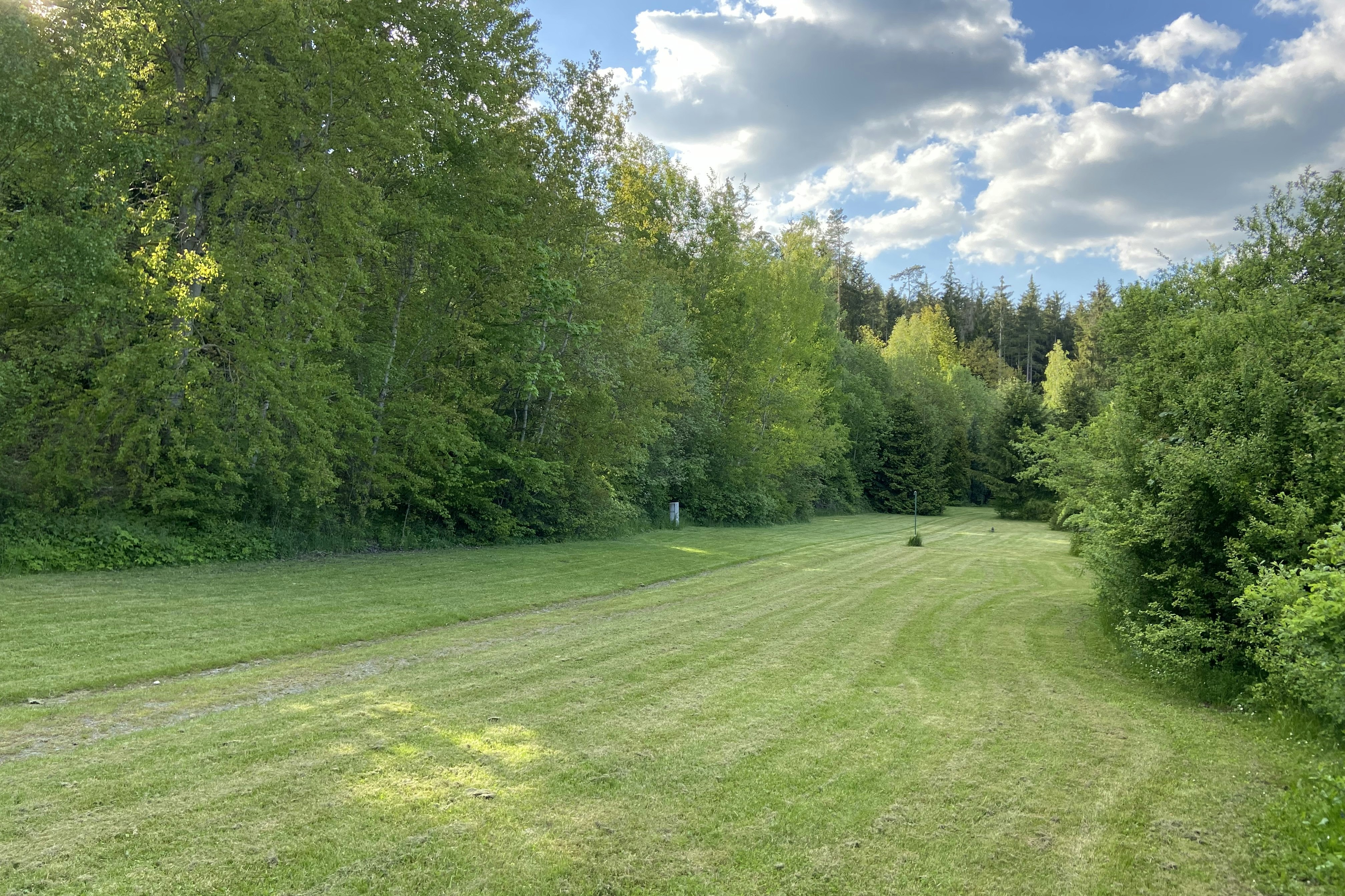 Camping Thüringer Wald - Standplatzwiese auf dem Campingplatz