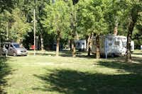 Camping Ticino - Stellplatzwiese unter Bäumen