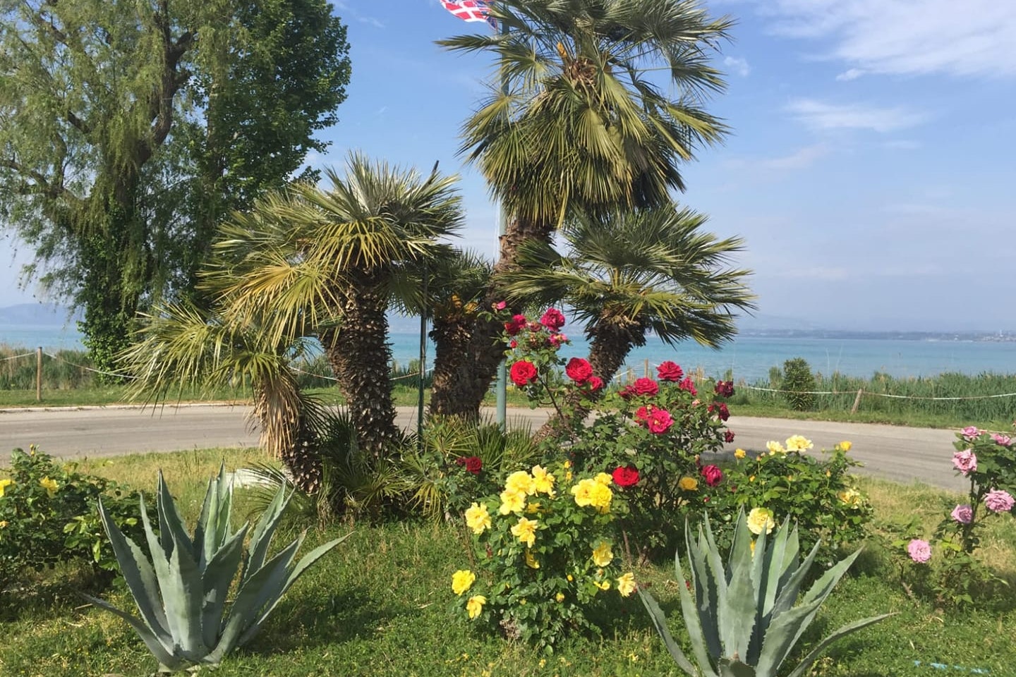 Camping Tiglio - Begrünung auf dem Campingplatz