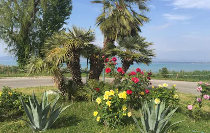 Camping Tiglio