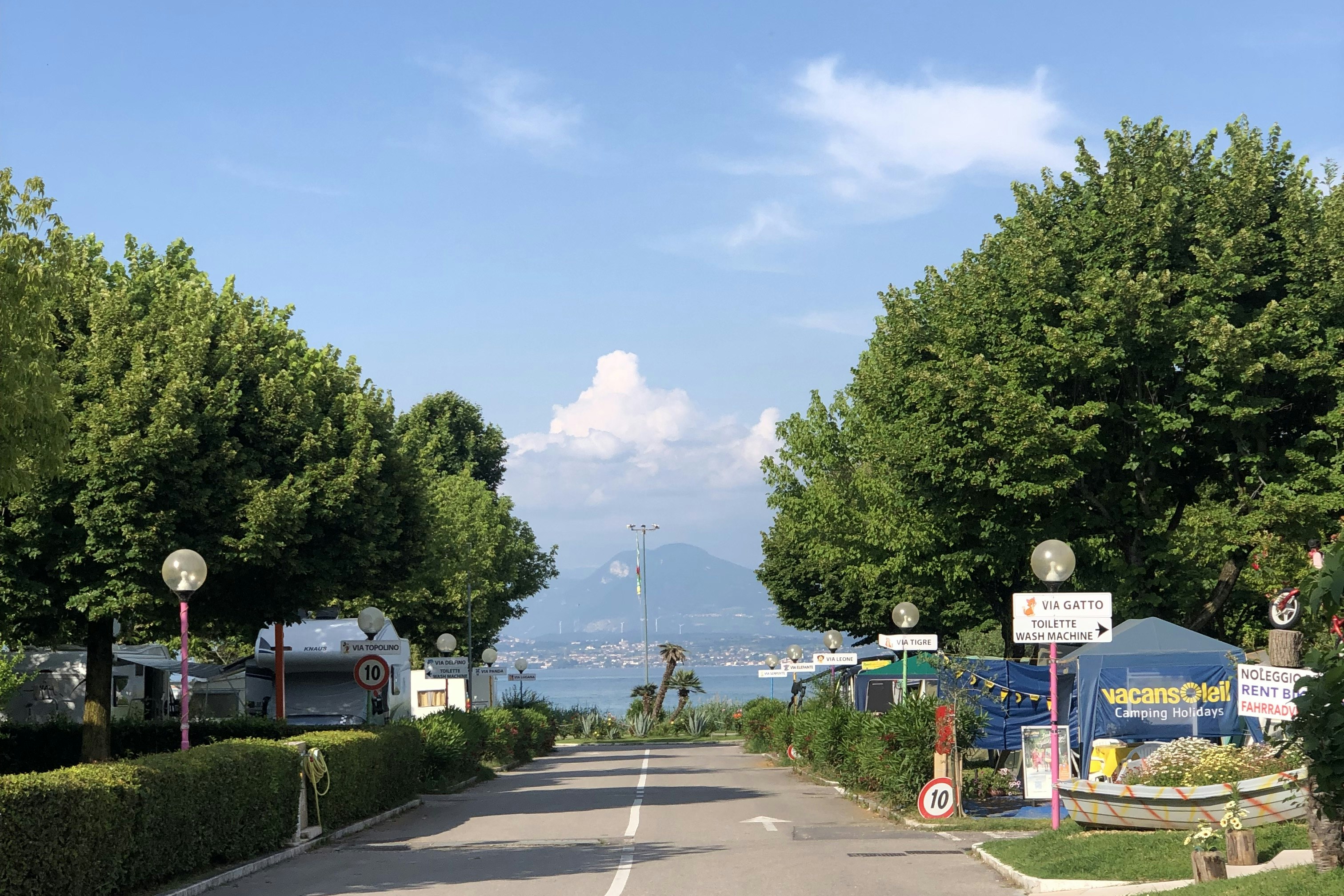 Camping Tiglio - Hauptstraße auf dem Campingplatz