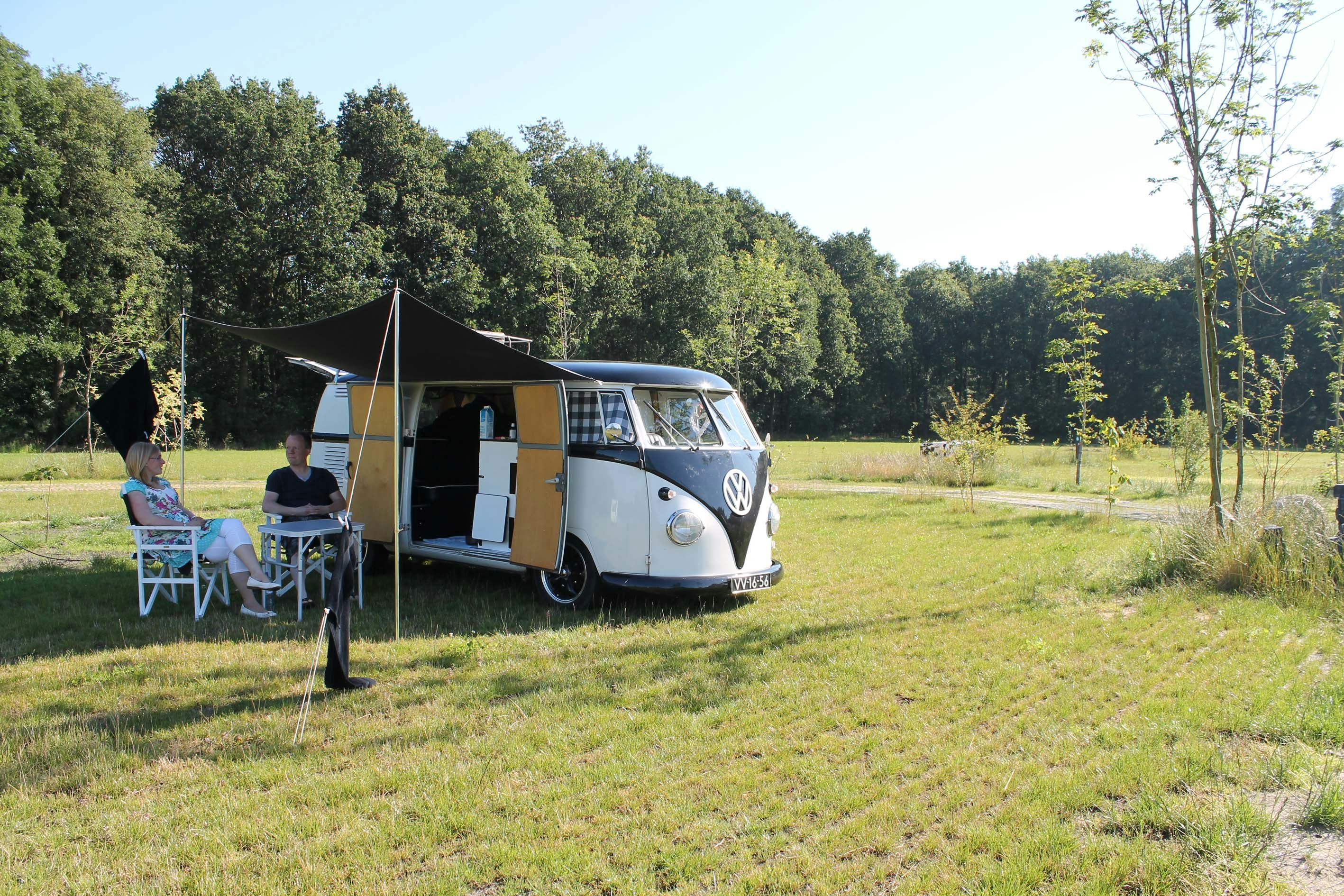 Camping Tikvah - Standplätze im Grünen auf dem Campingplatz
