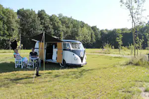 Camping Tikvah - Standplätze im Grünen auf dem Campingplatz