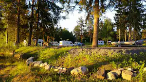 Wohnmobile und ein Zeltanhänger auf einem Campingplatz zwischen hohen Bäumen, mit Kiesweg und Rasenfläche.