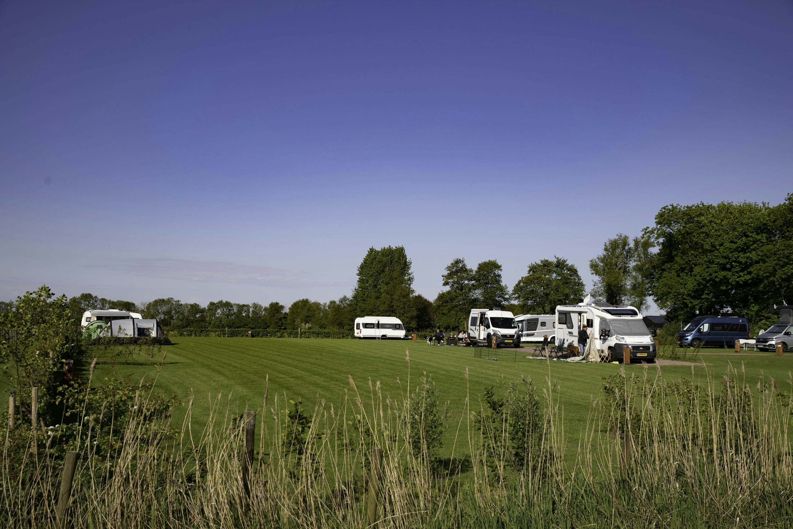 Camping Tjaerdastate - Blick auf die Standplatzwiese auf dem Campingplatz