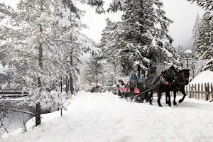 Winterlicher Campingweg im Schnee mit Pferdekutsche, Laternen und verschneiten Bäumen entlang eines Zauns.