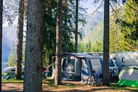 Camping Toblacher See - Zeltplätze umringt von Wald auf dem Campingplatz