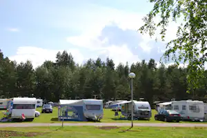 Wohnmobile und ein Zelt auf einem Campingplatz im Grünen, umgeben von hohen Bäumen und einem sonnigen Himmel.