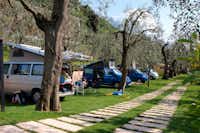 Camping Tonini  -  Wohnwagenstellplatz und Wohnmobilstellplatz vom Campingplatz auf grüner Wiese zwischen Bäumen