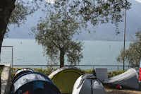 Camping Tonini - Zeltplatz vom Campingplatz am Gardasee