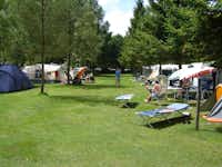 Camping Tonny -  Campingbereich für Zelte und Wohnwagen im Schatten der Bäume