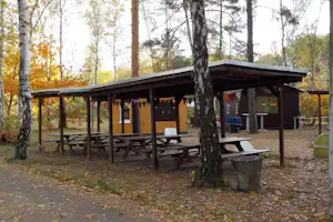 Camping Tonschachtv - Gemeinsamer Außenbereich mit Holztischen im Schatten der Bäume