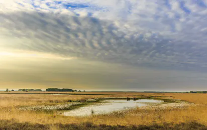 Ardoer Camping Torentjeshoek