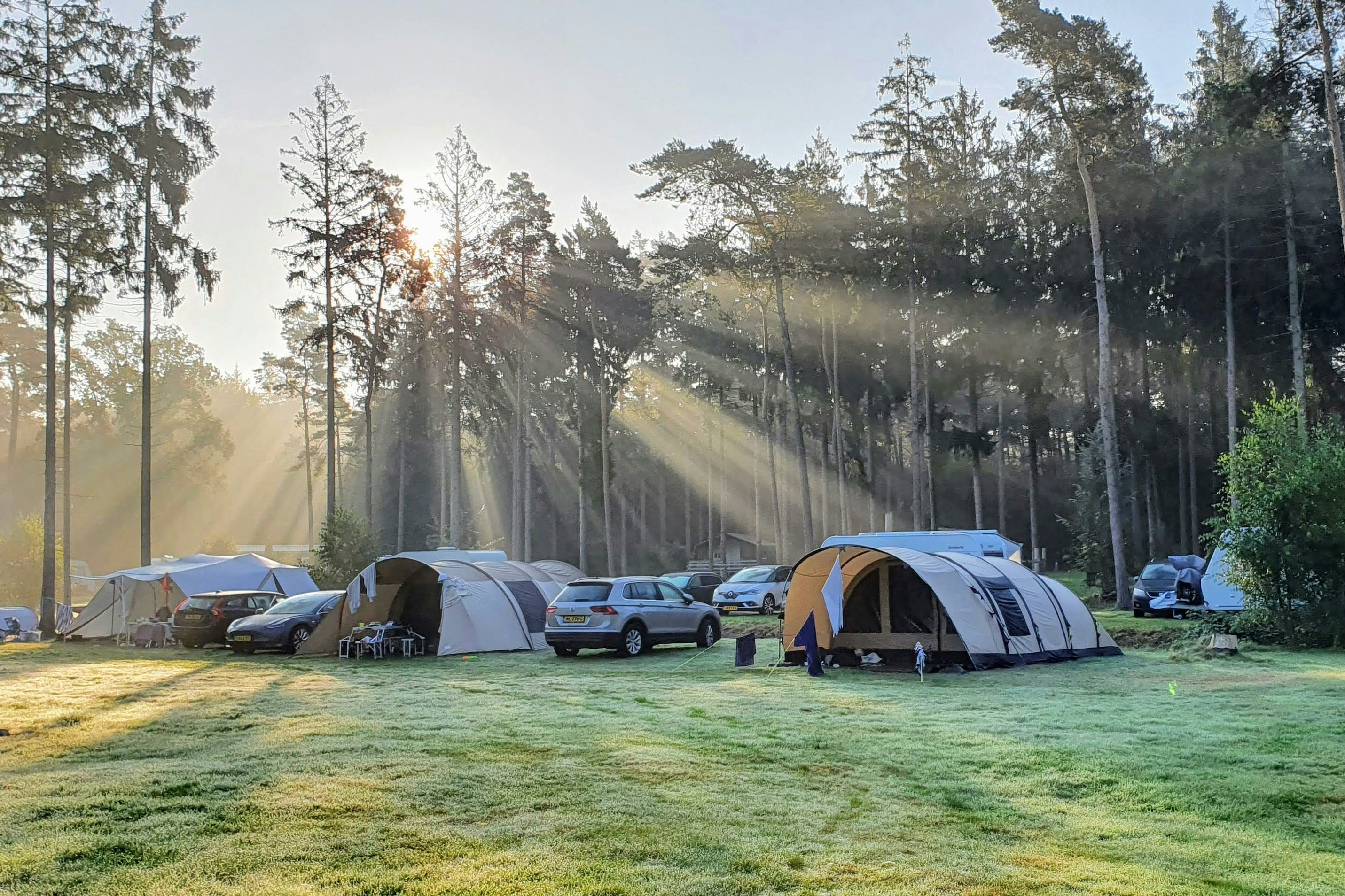 Ardoer Camping Torentjeshoek - Standplatzwiese auf dem Campingplatz