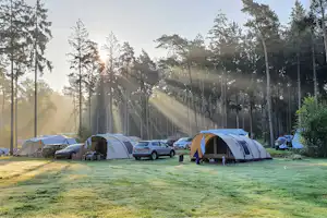 Ardoer Camping Torentjeshoek - Standplatzwiese auf dem Campingplatz