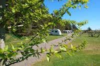 Camping Tornby Strand - Wohnmobil- und  Wohnwagenstellplätze umringt von Wald