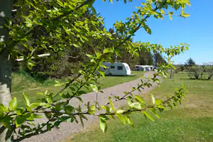 Camping Tornby Strand - Wohnmobil- und Wohnwagenstellplätze umringt von Wald