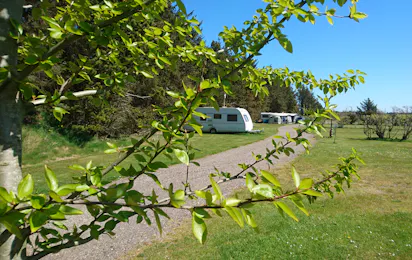 Tornby Strand Camping - Hirtshals