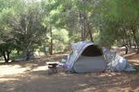 Camping Torraccia  Flower Camping Torraccia - Zeltplatz umgeben von Bäumen und kleinen Sträuchern
