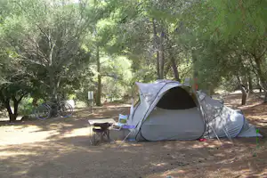 Camping Torraccia Flower Camping Torraccia - Zeltplatz umgeben von Bäumen und kleinen Sträuchern