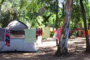 Campingzelt im Schatten der Bäume, Wäscheleine mit bunten Tüchern und Handtüchern zwischen den Stämmen.