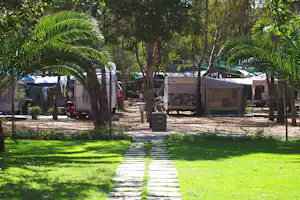 Gepflegter Campingplatz mit Rasenweg, Palmen und mehreren Zelten oder Wohnwagen zwischen Bäumen und Sichtschutzwänden.