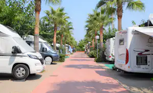 Bravoplaya Camping Resort - Stellplätze auf dem Campingplatz