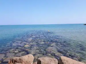 239645546.jpg