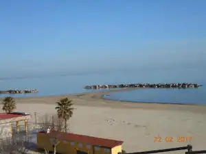 239645548.jpg