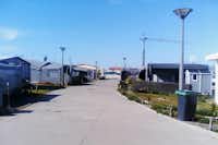 Camping Torreira - Strasse auf de m Campingplatz mit Stellplätzen an beiden Seiten