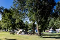 Camping Touristique de Gien  -  Wohnwagen- und Zeltstellplatz vom Campingplatz zwischen Bäumen mit Blick auf Gien und den Fluss Loire