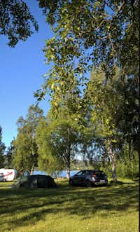 Camping Träporten i Borgsjö - Zelt und  Wohnwagenstellplatz zwischen den Bäumen auf dem Campingplatz