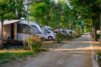 Camping Trasimeno - Standplätze auf dem Campingplatz