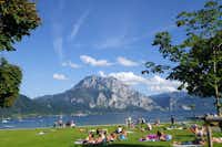 Camping Traunsee - Liegewiese am See