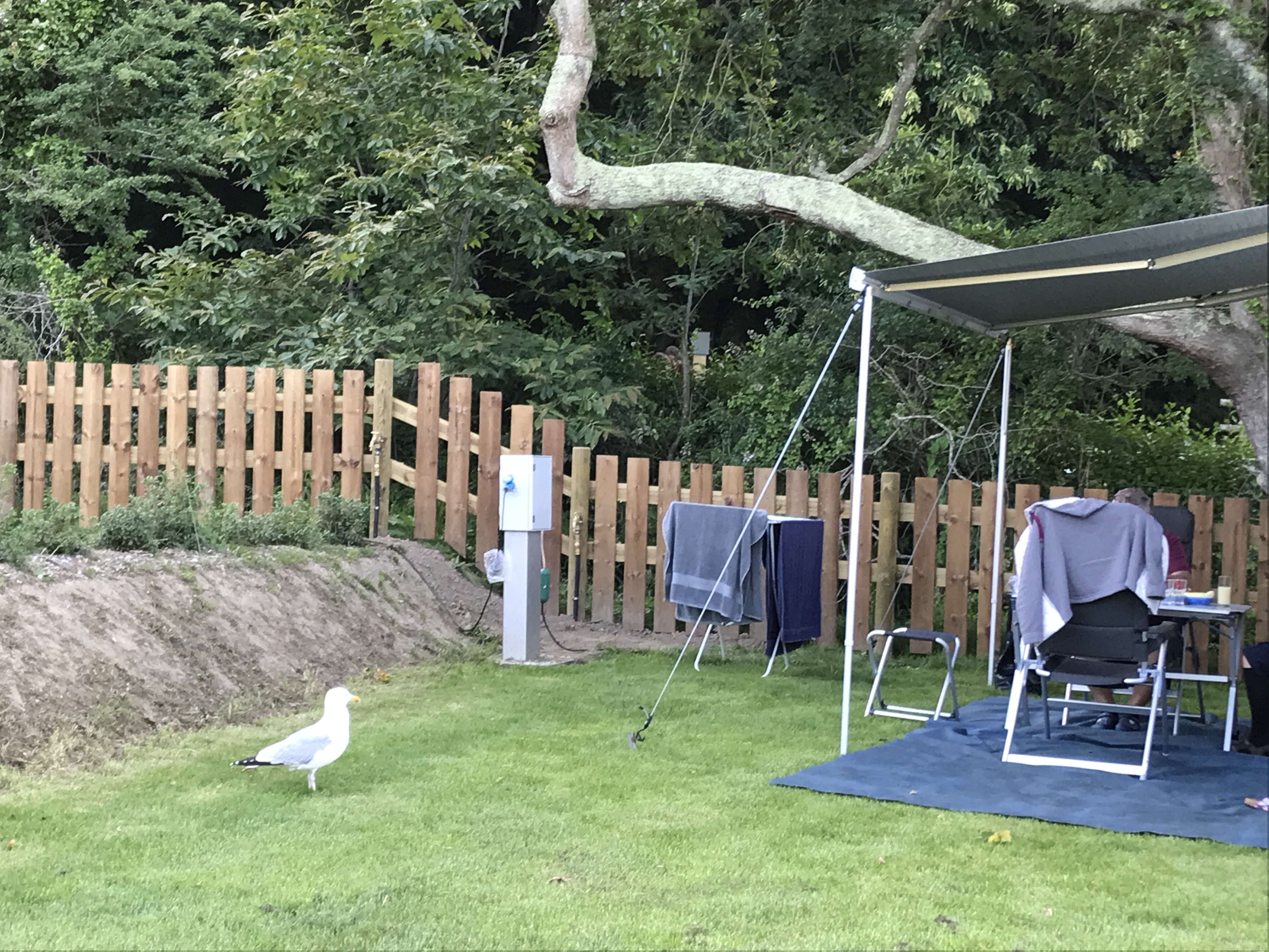 Domaine de Trestraou