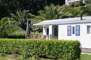 Wohnwagen mit Terrasse, blauen Fenstern und Markise, umgeben von Palmen und dichtem Grün im Campingbereich.