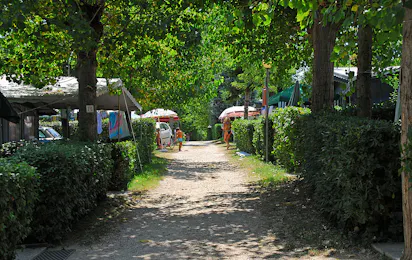 Camping Iris Park
