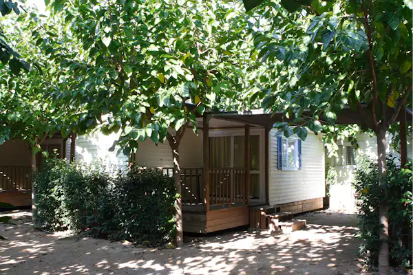 Camping Trillas Spa Tamarit