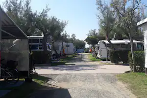 Camping Tripesce - - Wohnmobil- und Wohnwagenstellplätze im Schatten der Bäume