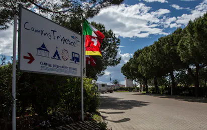 Camping Tripesce