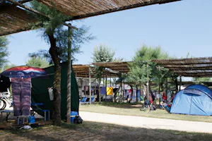 Camping Tripesce - Zeltplätze im Schatten der Bäume auf dem Campingplatz