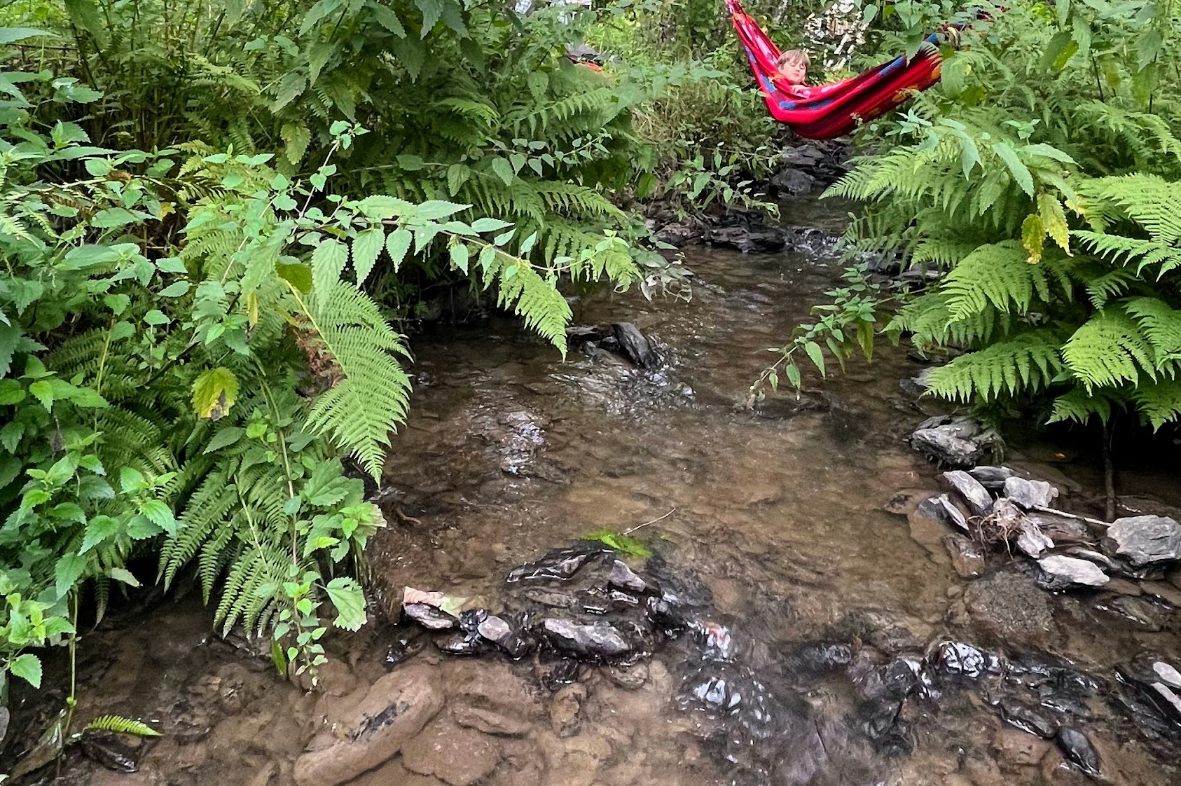 Camping TroDoWay - Hängematte in der Natur