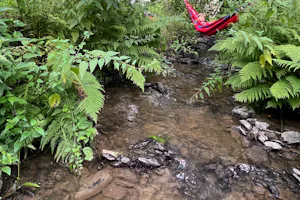 Camping TroDoWay - Hängematte in der Natur