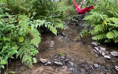 Camping TroDoWay